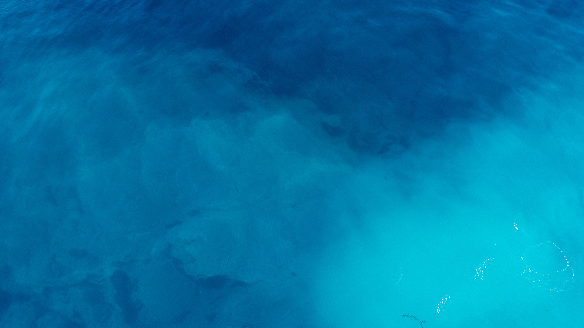 佛山市易卓家具有限公司